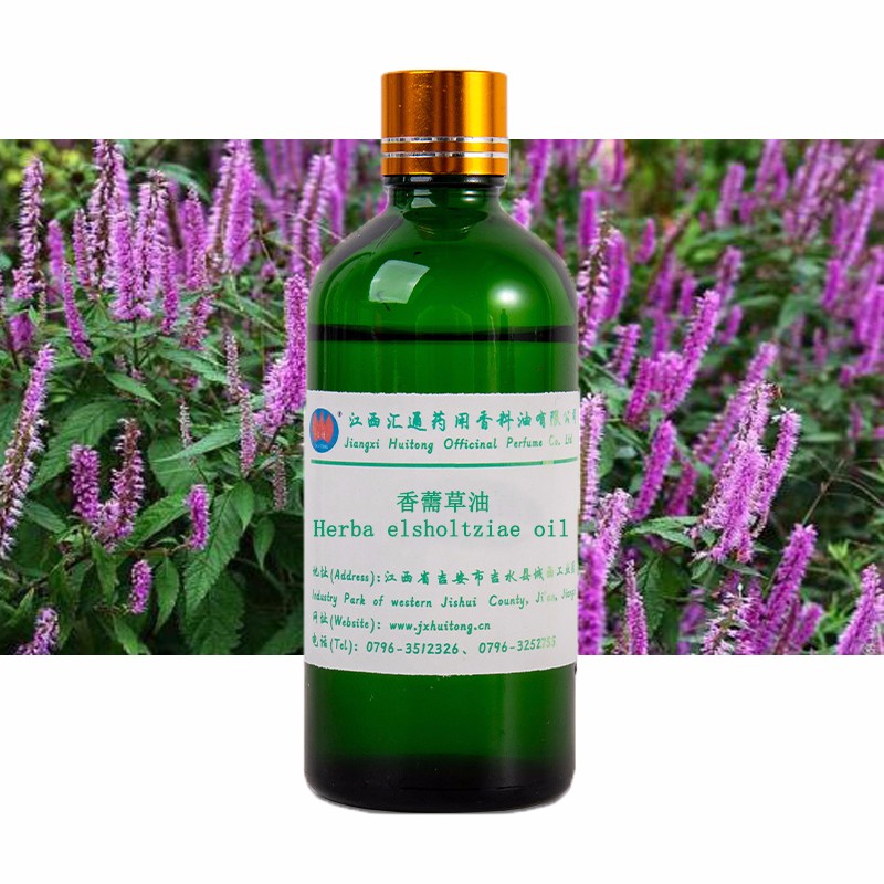 香薷草油背景圖.jpg